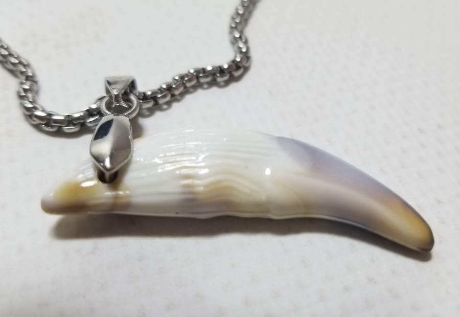 KURT DİŞİNDEN YAPILMIŞ ÖZEL YAPIM KOLYE