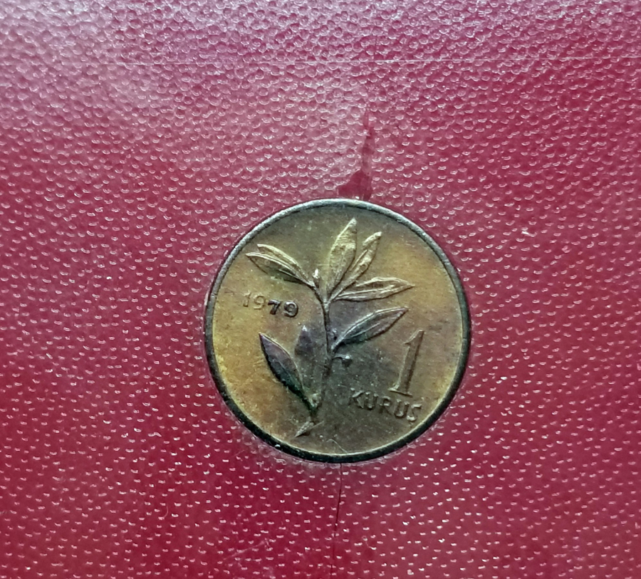 TÜRKİYE CUMHURİYETİ 1979 YILI KOLEKSİYONLUK BRONZ 1 KURUŞ