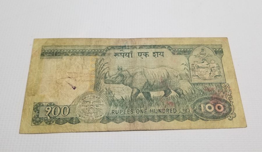 NEPAL 100 RUPİ BANKNOT PARA