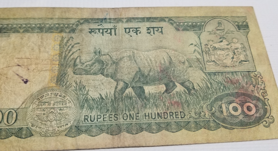 NEPAL 100 RUPİ BANKNOT PARA