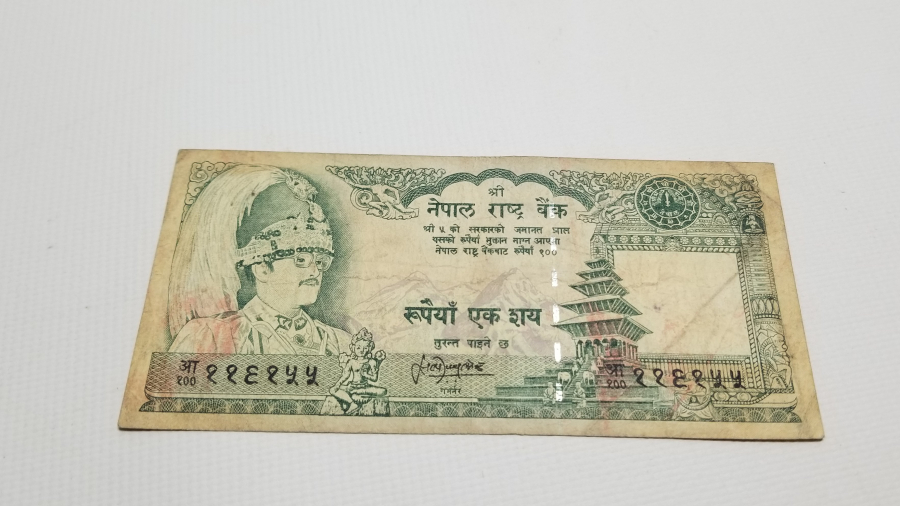 NEPAL 100 RUPİ BANKNOT PARA