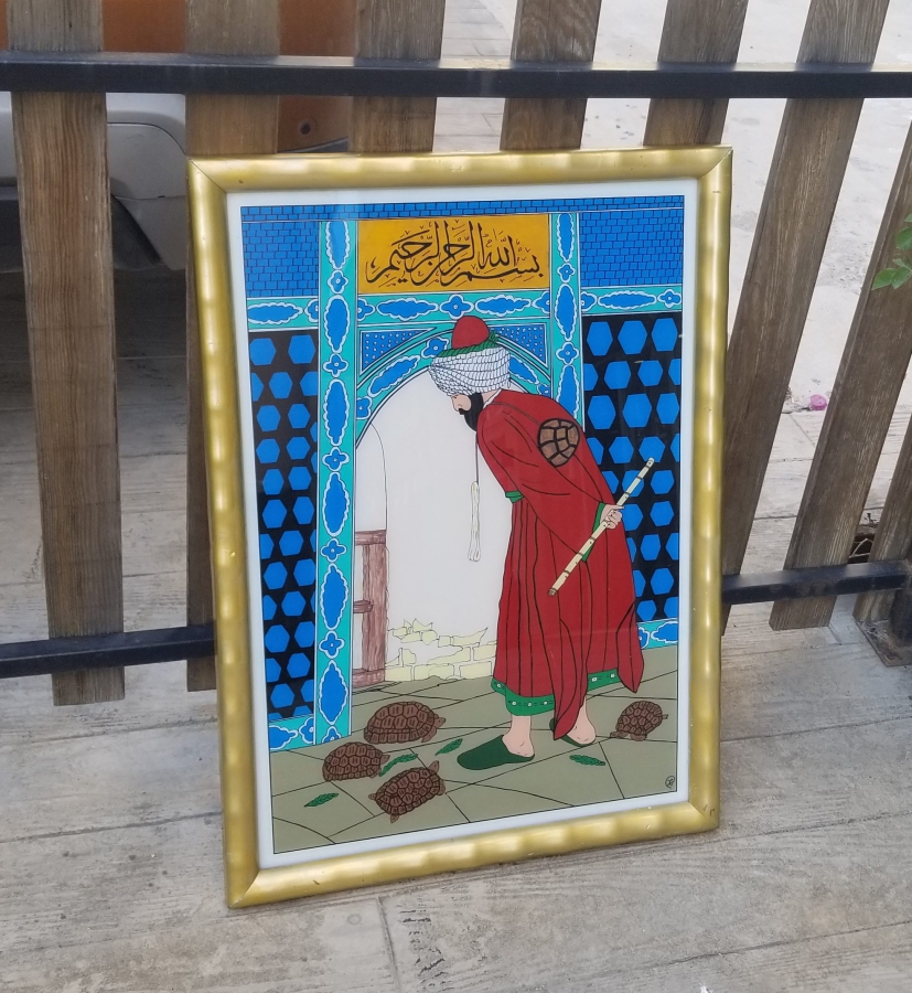 KAPLUMBAĞA TERBİYECİSİ GÖRSELLİ CAMALTI EL BOYAMA TABLO