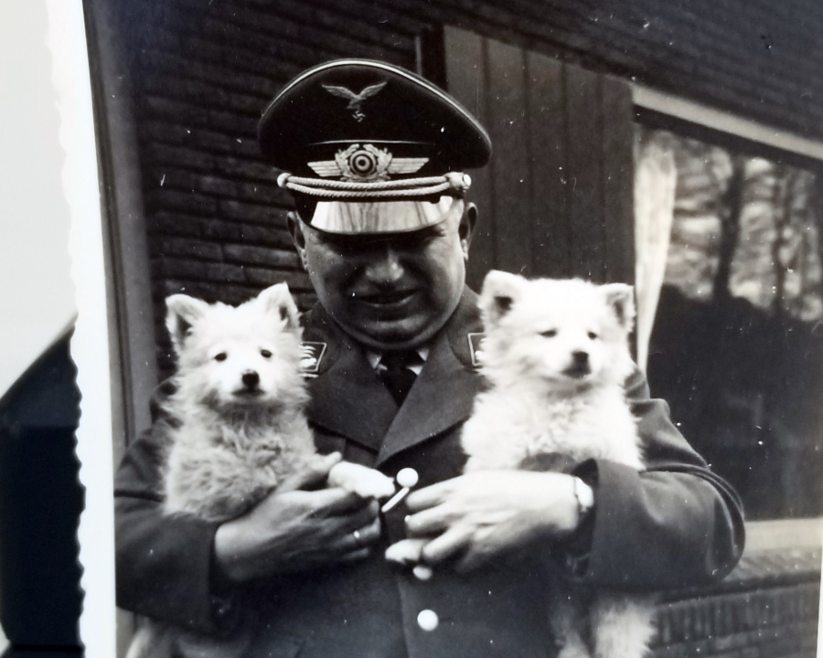 2. DÜNYA SAVAŞI DÖNEMİ KÖPEKLER VE ALMAN SUBAYI GÖRSELLİ FOTOĞRAF