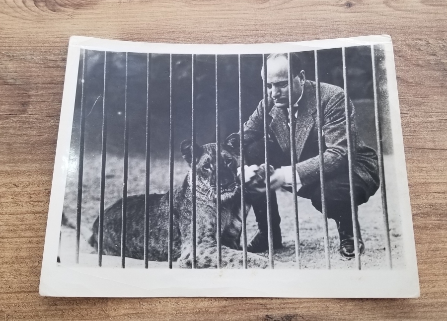 ALMANYA DEVLET ARŞİVİ'NDEN ÇIKMA ORİJİNAL MUSSOLINI FOTOĞRAFI