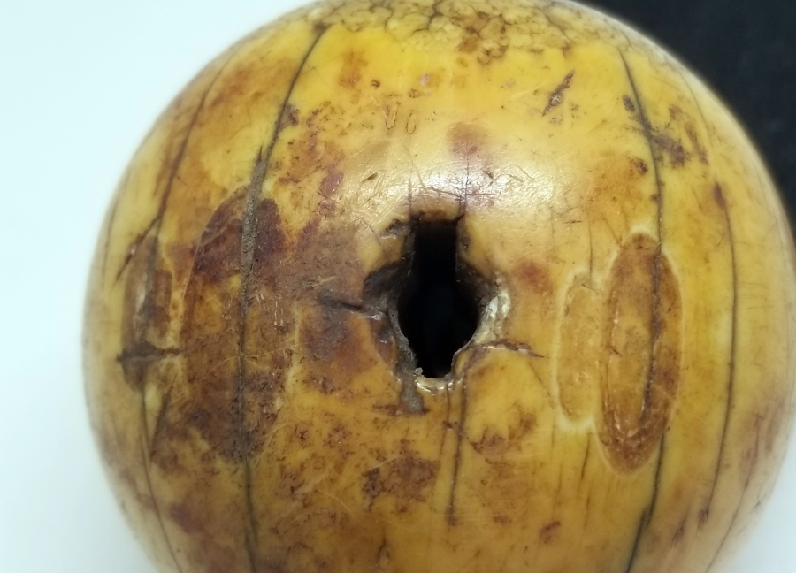 TESPİH YAPIMINA UYGUN ÇOK NADİR BÜYÜK BOY MORS DİŞİ PİŞTOV ALTI -PİŞTOV ÇANAĞI