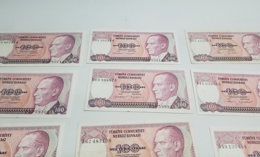 6. EMİSYON KOLEKSİYONLUK 100 LİRA KAĞIT PARA LOTU