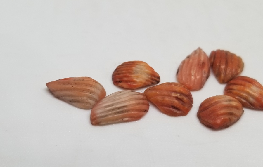 OSMANLI DÖNEMİ BADEM MERCAN TANELER