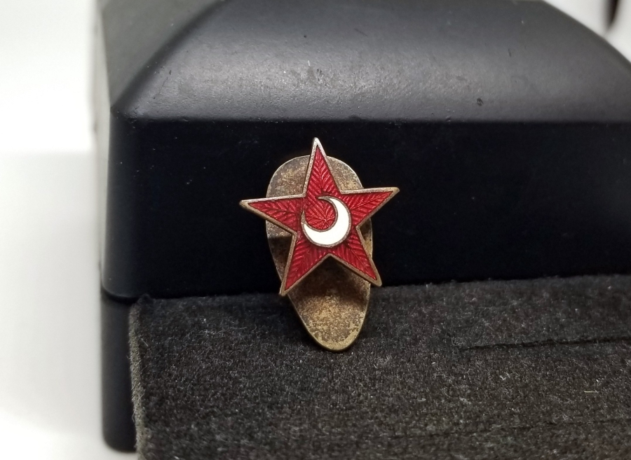 OSMANLI DÖNEMİ NADİR MİNELİ HİMAYE-İ ETFAL MİNELİ ROZET