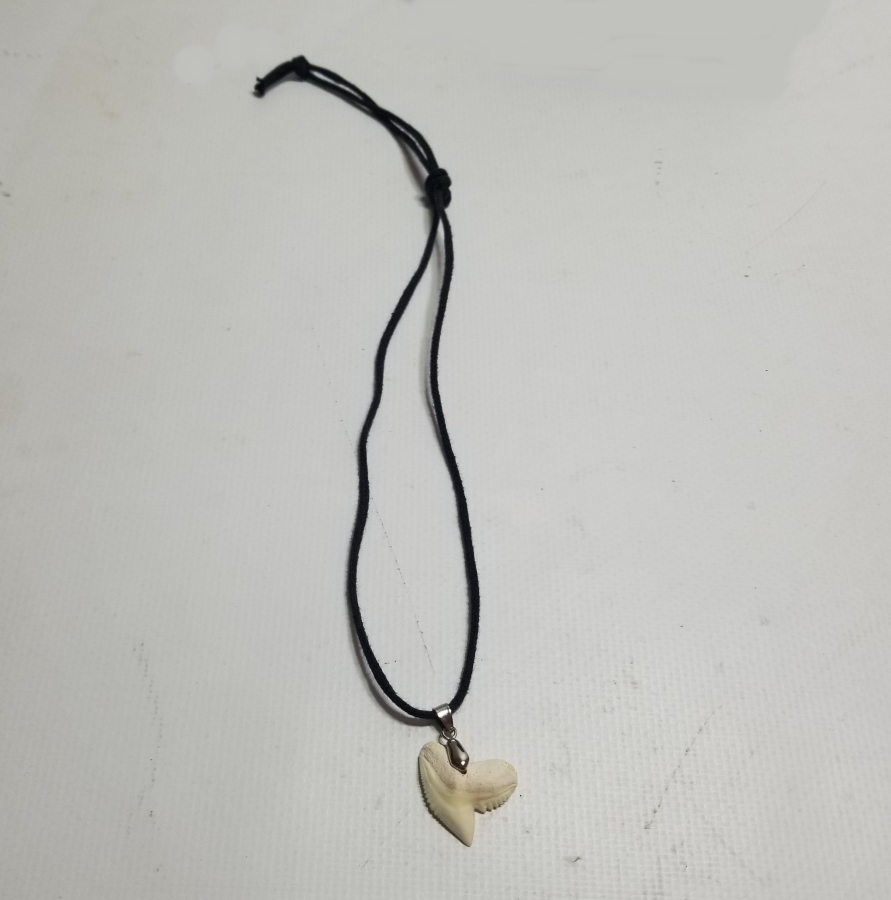 KÖPEKBALIĞI DİŞİNDEN YAPILMIŞ KOLYE